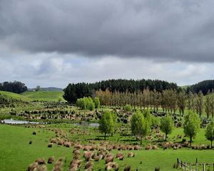 View looking across a rolling green landscape, with a body of water and trees meandering through the hills.
