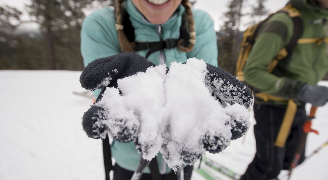 scientist holding up a handful of snow.