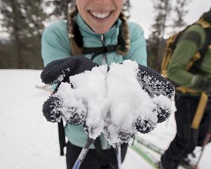 video showing a team of scientists in a forest in washington.