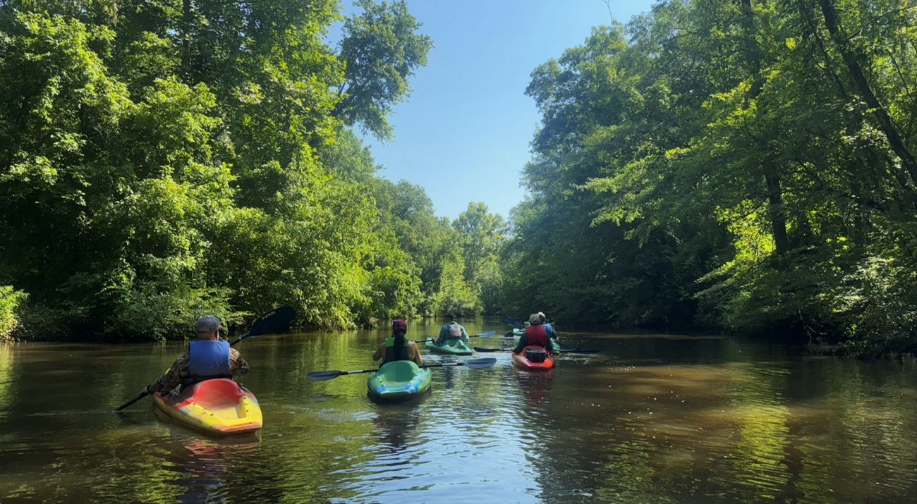 Five people kayaking down a beautiful river with trees on both sides and a blue sky in the background.