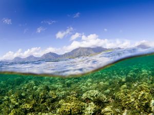 Photo partially above and underwater showing a coral reef and sky and mountains above the waterline.