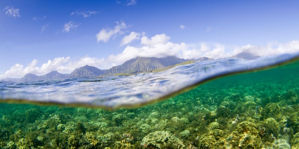 Split view above and under water showing a coral reef underwater and mountains in the distance.