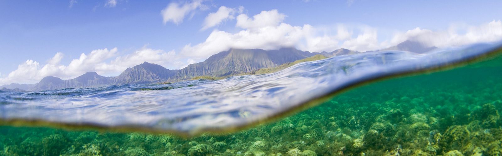 Split view above and under water showing a coral reef underwater and mountains in the distance.