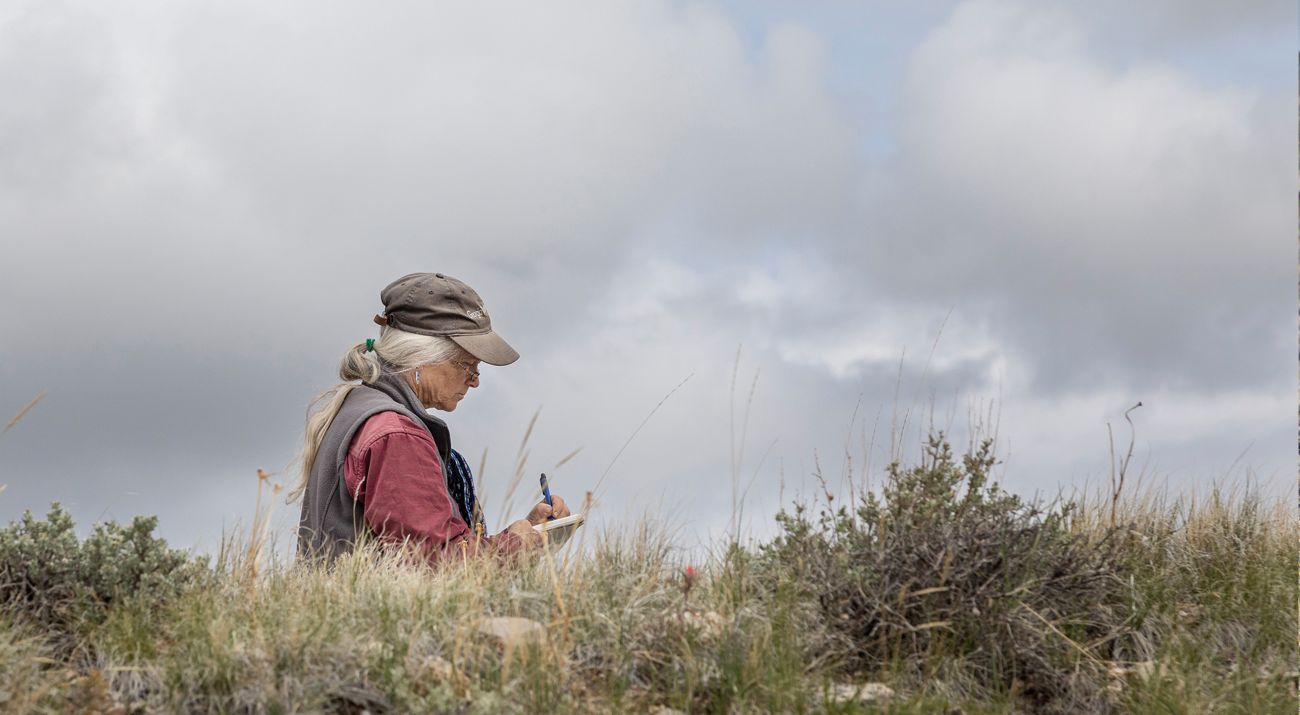 A woman in a ballcap writes in her journal in a grassy field.