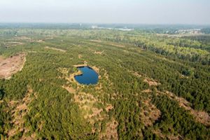 Forestlands surround a small pond.