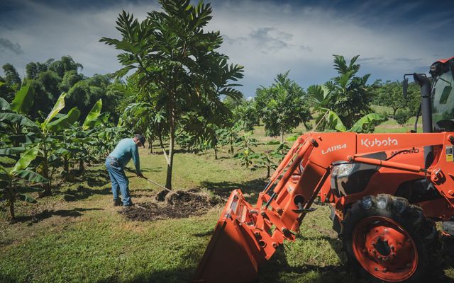 Person plants tree with orange tractor in foreground.