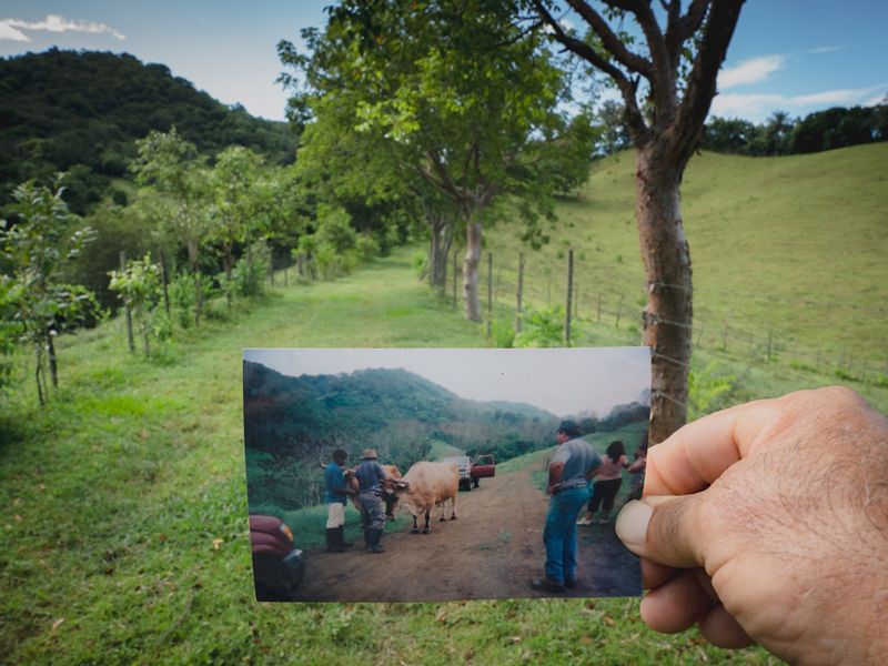 A hand holds up a photograph in front of a grassy path, creating a before and after moment.