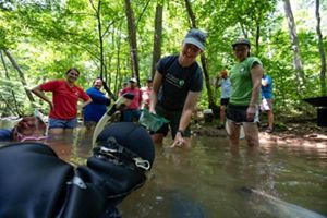 TNC's Lydia Radcliffe in small creek for hellbender salamander release.