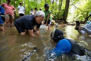 TNC's Vince Garmon in small creek during hellbender release.