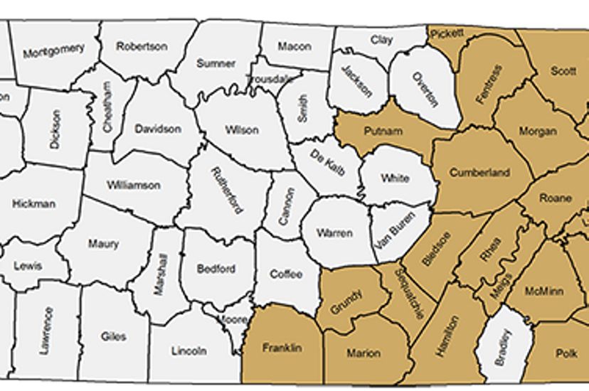 A map of hemlock woolly adelgid infested counties in Tennessee.