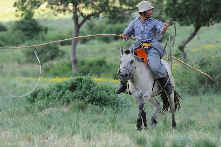 A herder on a horse with a lasso in Mongolia.