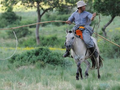 A herder uses a lasso in Mongolia.