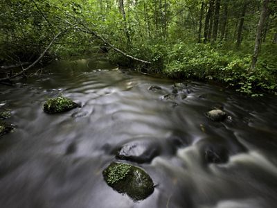 Fluye el agua en un río