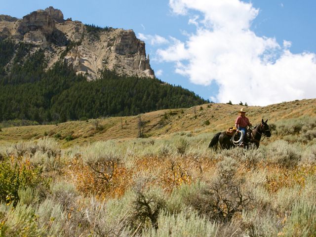 Person on horseback riding through a sagebrush-covered hillside.