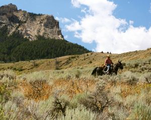 Exploring the Heart Mountain Preserve on horseback.