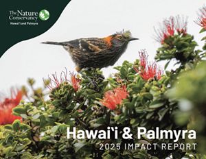 Cover of the 2025 TNC Hawaiʻi and Palmyra Impact Report.