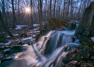 Icy stream and waterfalls with sunlight streaming through a thin forest.