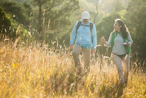 Four people walk through a golden meadow.