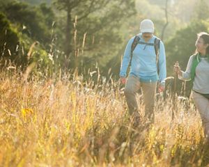 Four people walk through a golden meadow.