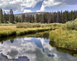 View of river surrounded by trees.