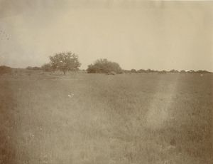 Colorado River Delta landscape in about 1904