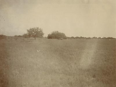 Colorado River Delta landscape in about 1904