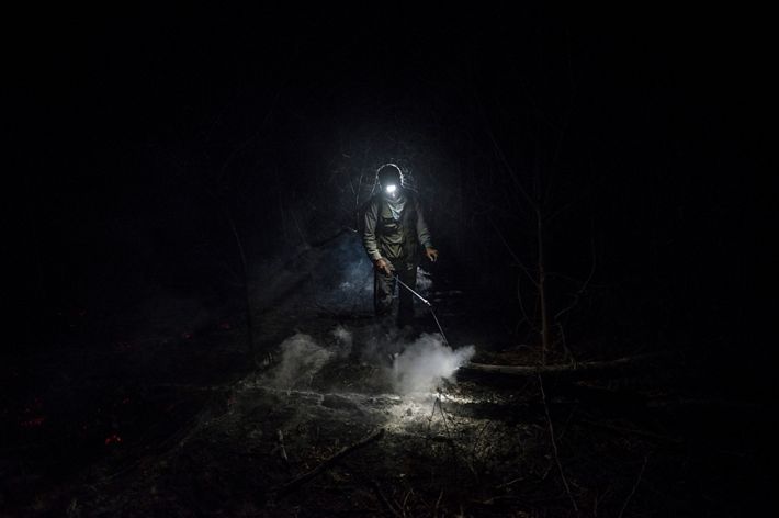 Volunteer forest firefighter Daniel Vargas Osinaga (21) walks through thick smoke after helping to extinguish a fire in Bolivia's Santa Rosa de Tucabaca.