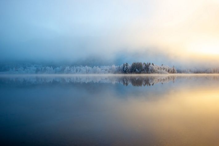 The mist slowly thinned giving a glimpse of the trees on the other side, I grabbed my tripod to set up this shot.