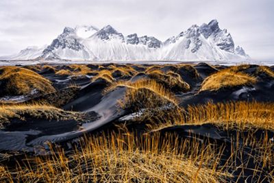 A landscape is seen with yellow grass on black sand in the foreground and snowy white-capped mountains in the background.