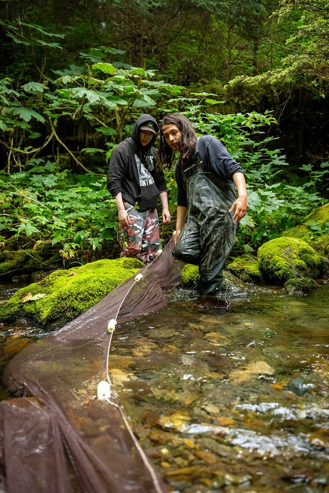 Two people drag a fishing net across a stream in a forest. 