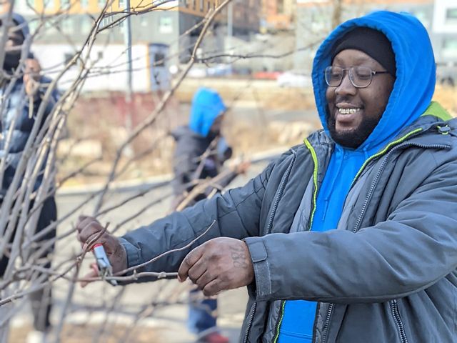 A man in a blue shirt fixing tree branches. 