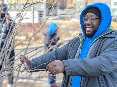 A man in a blue shirt fixing tree branches.