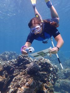 A researcher photographs coral to track changes over time.