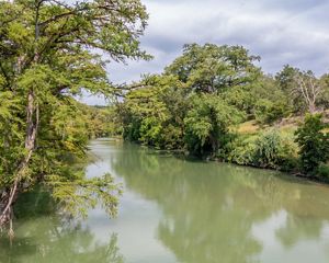 A green river lined with dense green trees.
