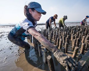 TNC團隊及合作夥伴於香港建造人工蠔礁