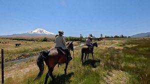 Horseback riders with Mount Shasta in the background.
