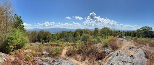 Houghton Hill summit view