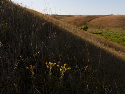 Rolling prairie hills.