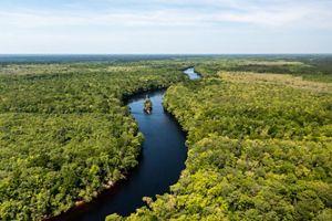 A narrow river winds through a forested landscape.