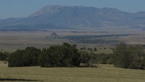 Trees on a vast ranch with mountains in the background.