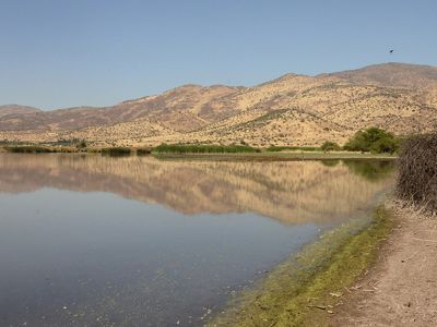El manejo adecuado del humedal es un paso importante para mitigar el cambio climático en la región metropolitana.