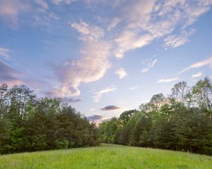 A green field with trees in the background.