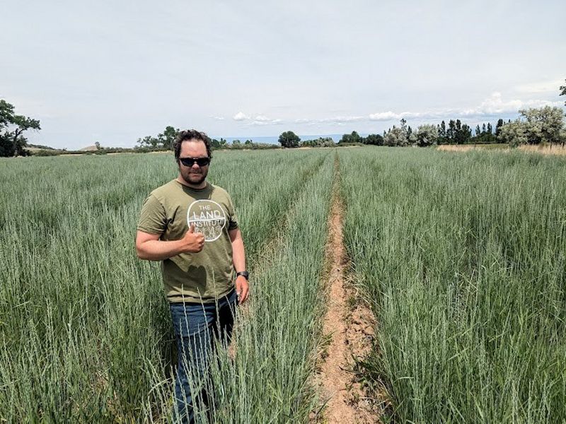 A man standing and giving a thumbs up in a field of tall, green grass.