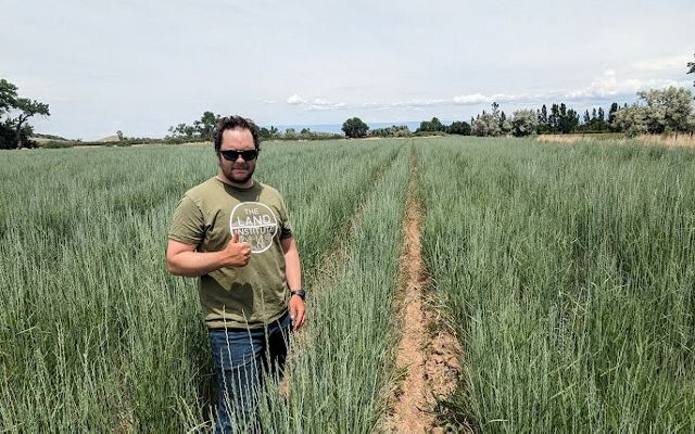 A man standing and giving a thumbs up in a field of tall, green grass.