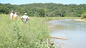 After restoration of an eroding streambank