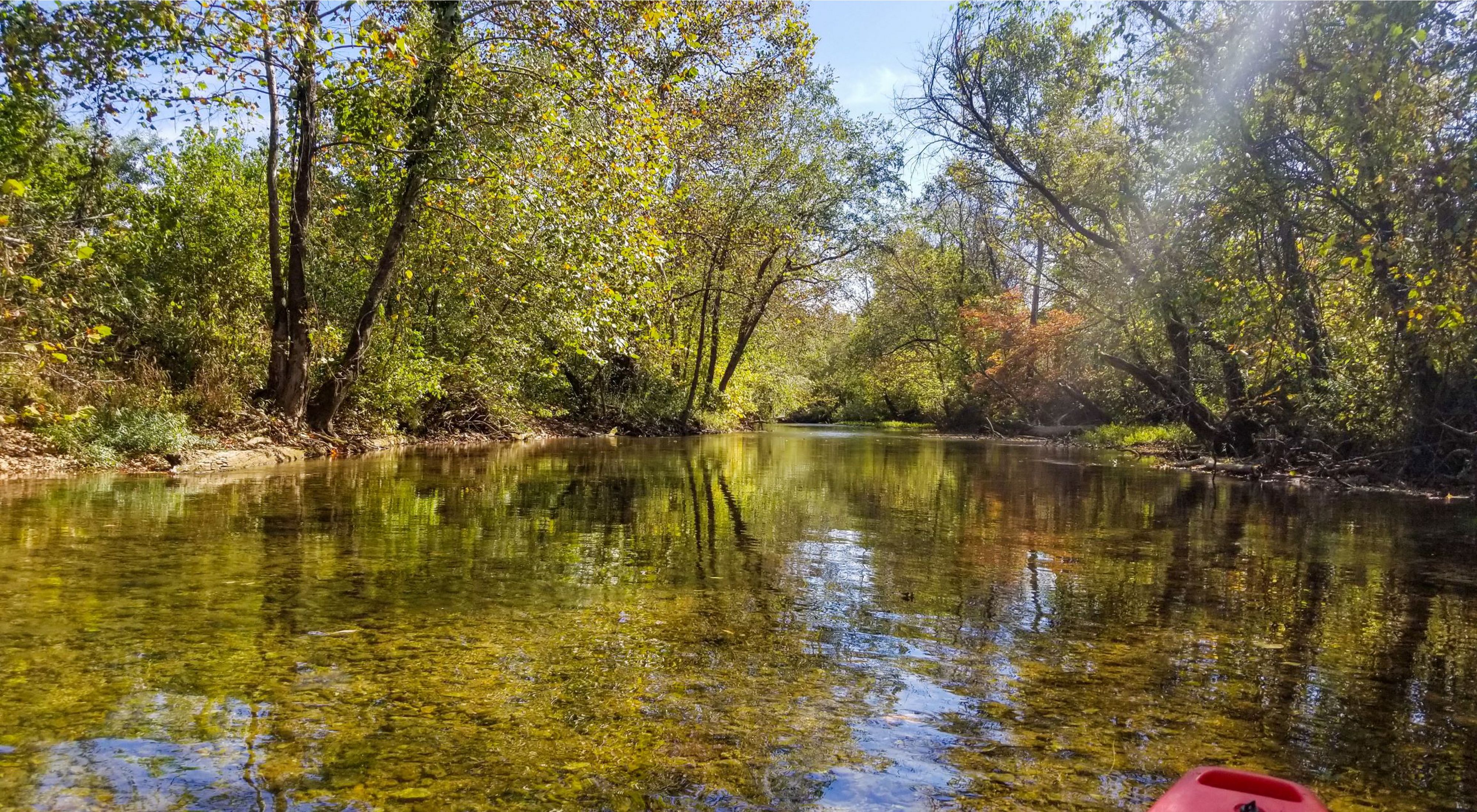 A clear creek surrounded by trees on a fall day. 