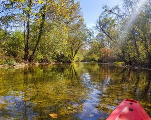 The tip of a red canoe can be seen as it floats down a crystal-clear stream with forested streambanks.