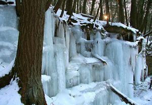 Ice formation and sun through trees at Hemlock Draw Preserve, Baraboo Hills, Wisconsin.