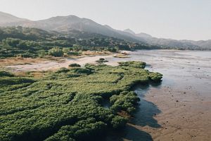 Nature-based Solutions (NbS) for Climate Conference