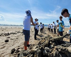 在義工的協助下,TNC重整白泥廢棄的養蠔場